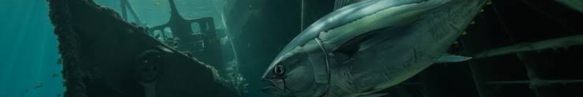 Pesca Marinha 