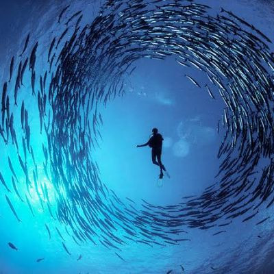 Pesca Marinha 